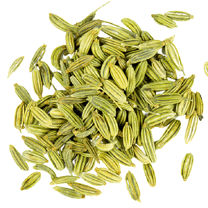 Fennel Seeds