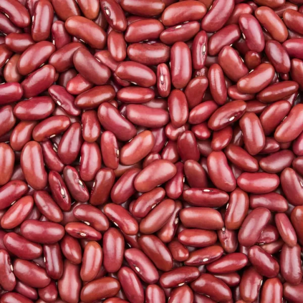 https://www.ankogrpltd.com/product/organic-red-kidney-beans/